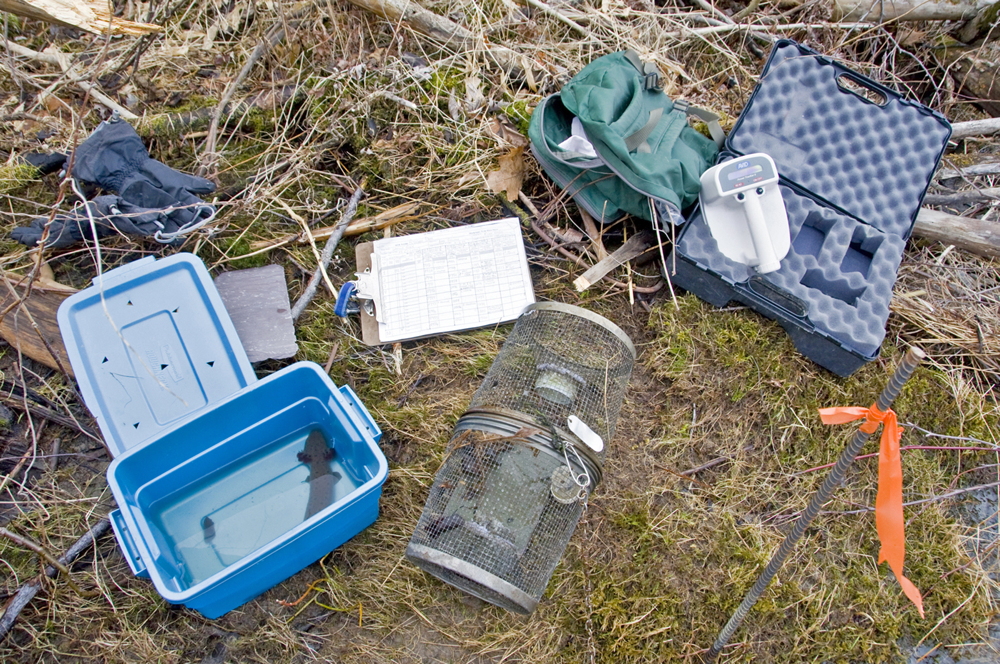 Mudpuppy sampling gear in field Chellman
